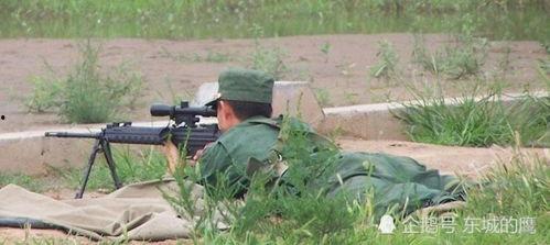 国产优秀狙击步枪视频,精准射击，荣耀绽放
