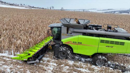 中国产收割机视频,高效农业机械化新篇章